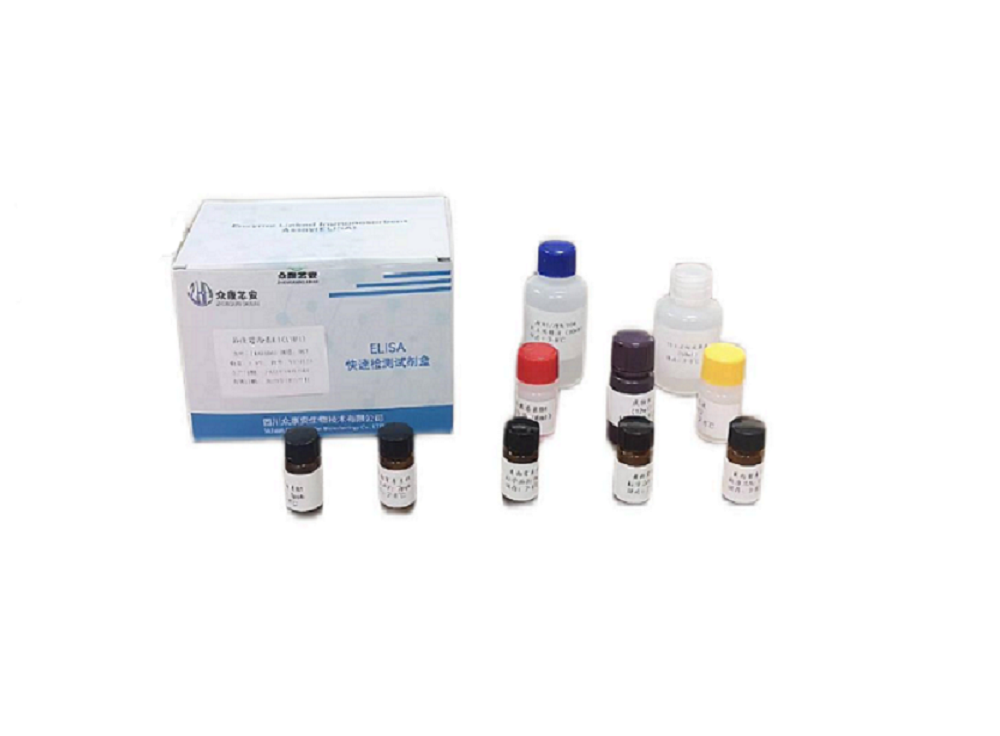 ����ù����B1 Elisa�Լ���